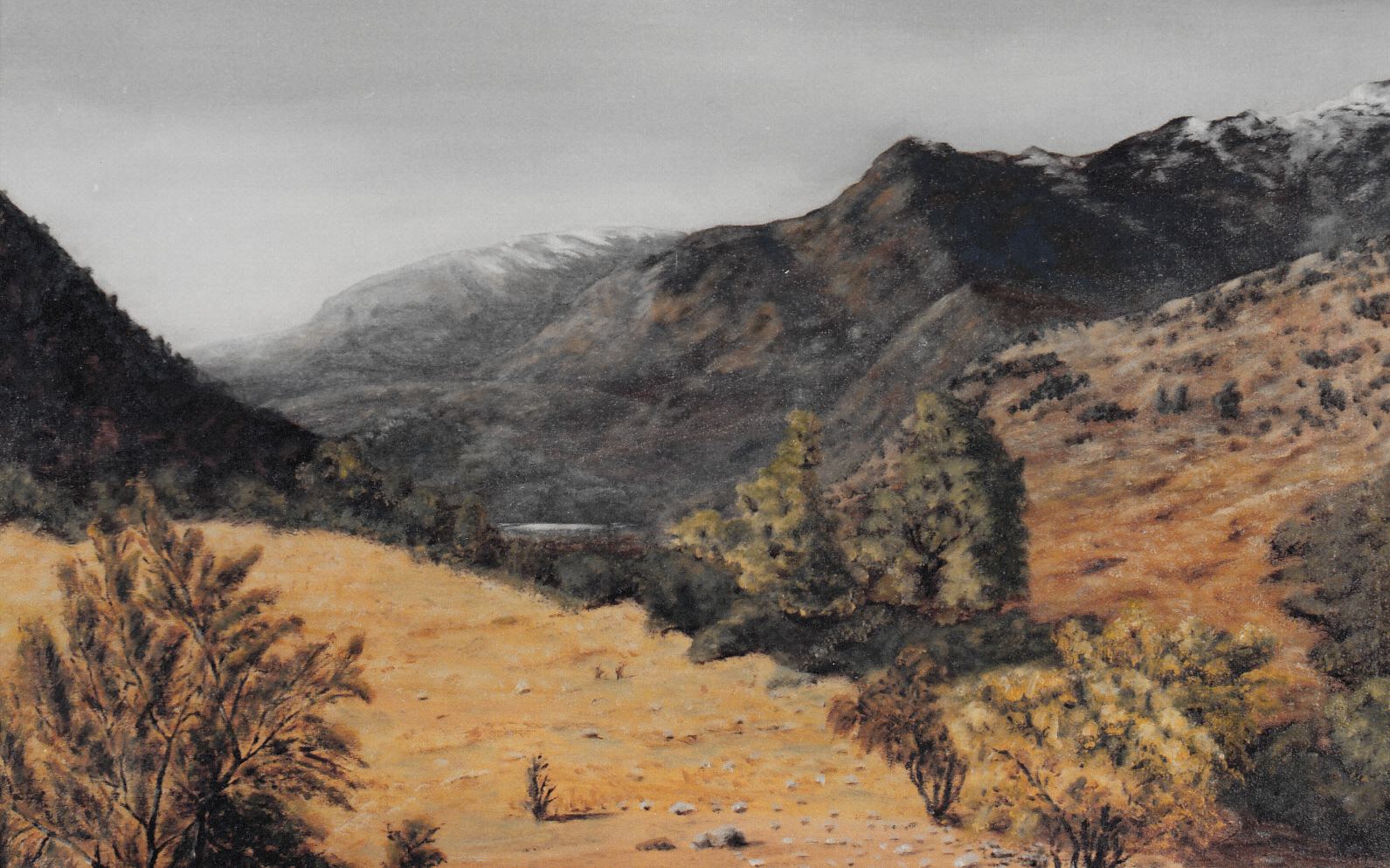 Precordillera seca del Cajón del Maipo